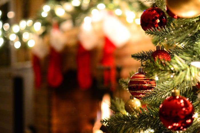 Ornament on a Christmas tree.