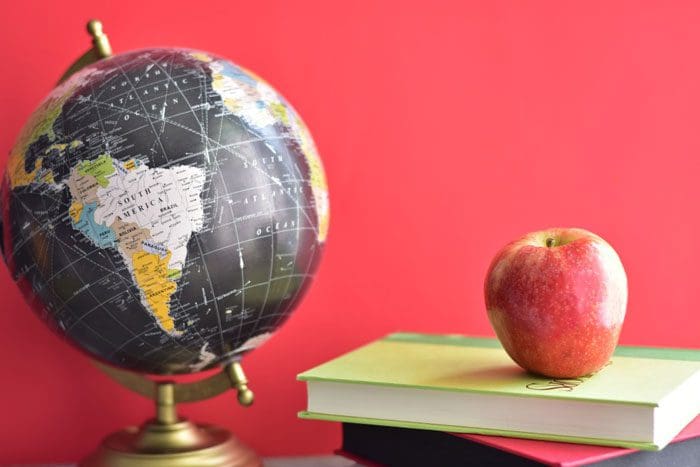 Globe in front of a pink background.