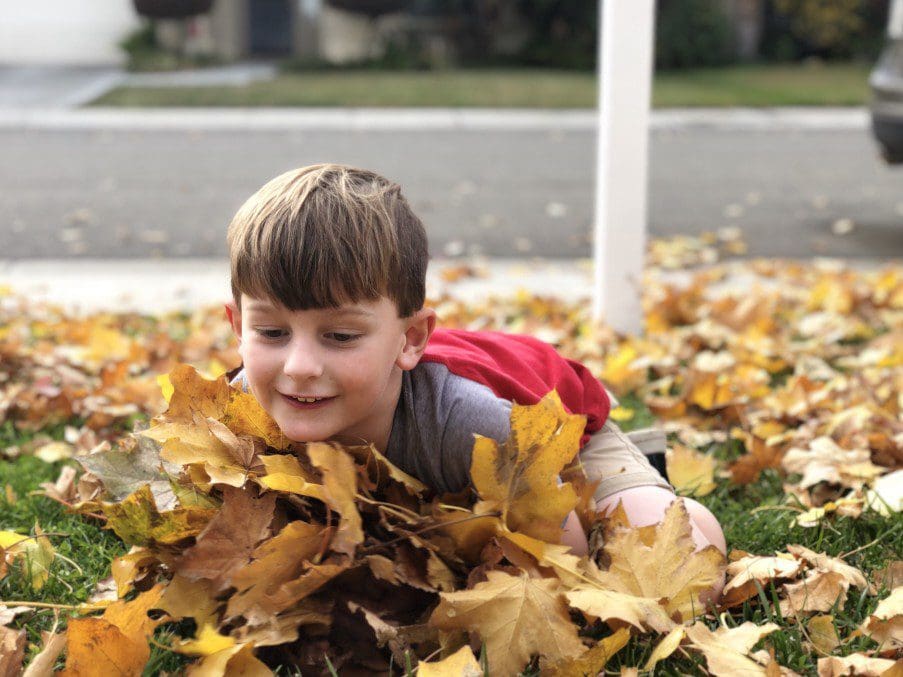 Child with leaves