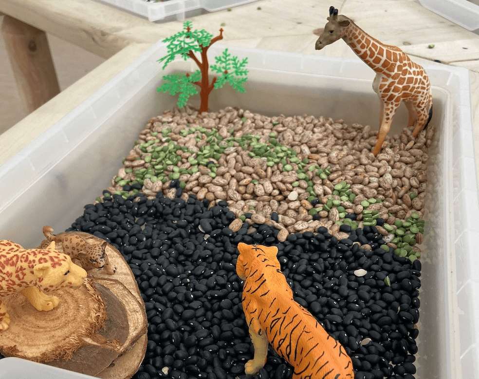 six-developmental-benefits-of-sensory-bins
