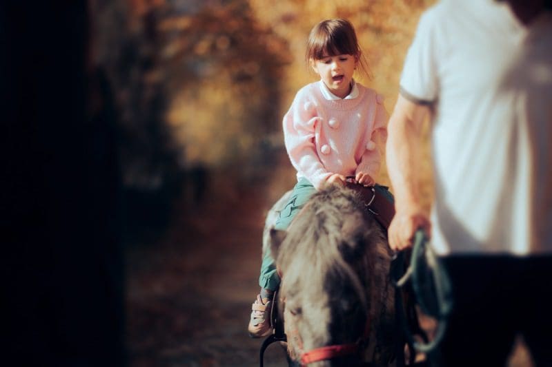 Small child riding on a horse