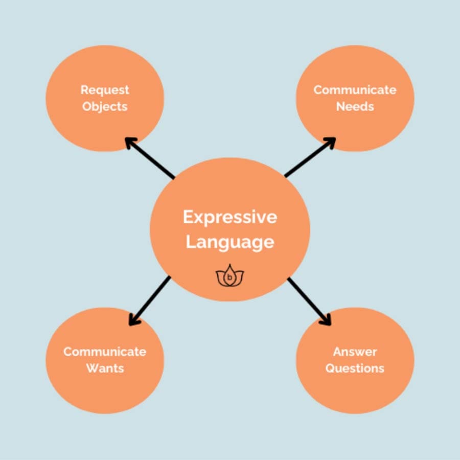 Fundamentals of expressive language